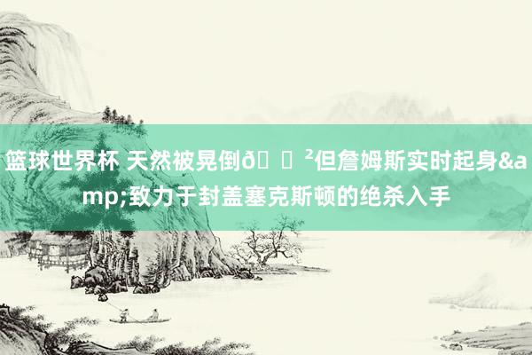 篮球世界杯 天然被晃倒😲但詹姆斯实时起身&致力于封盖塞克斯顿的绝杀入手